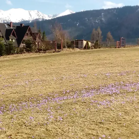Lipka Zielona Zakopane